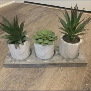 Three pot succulent decor